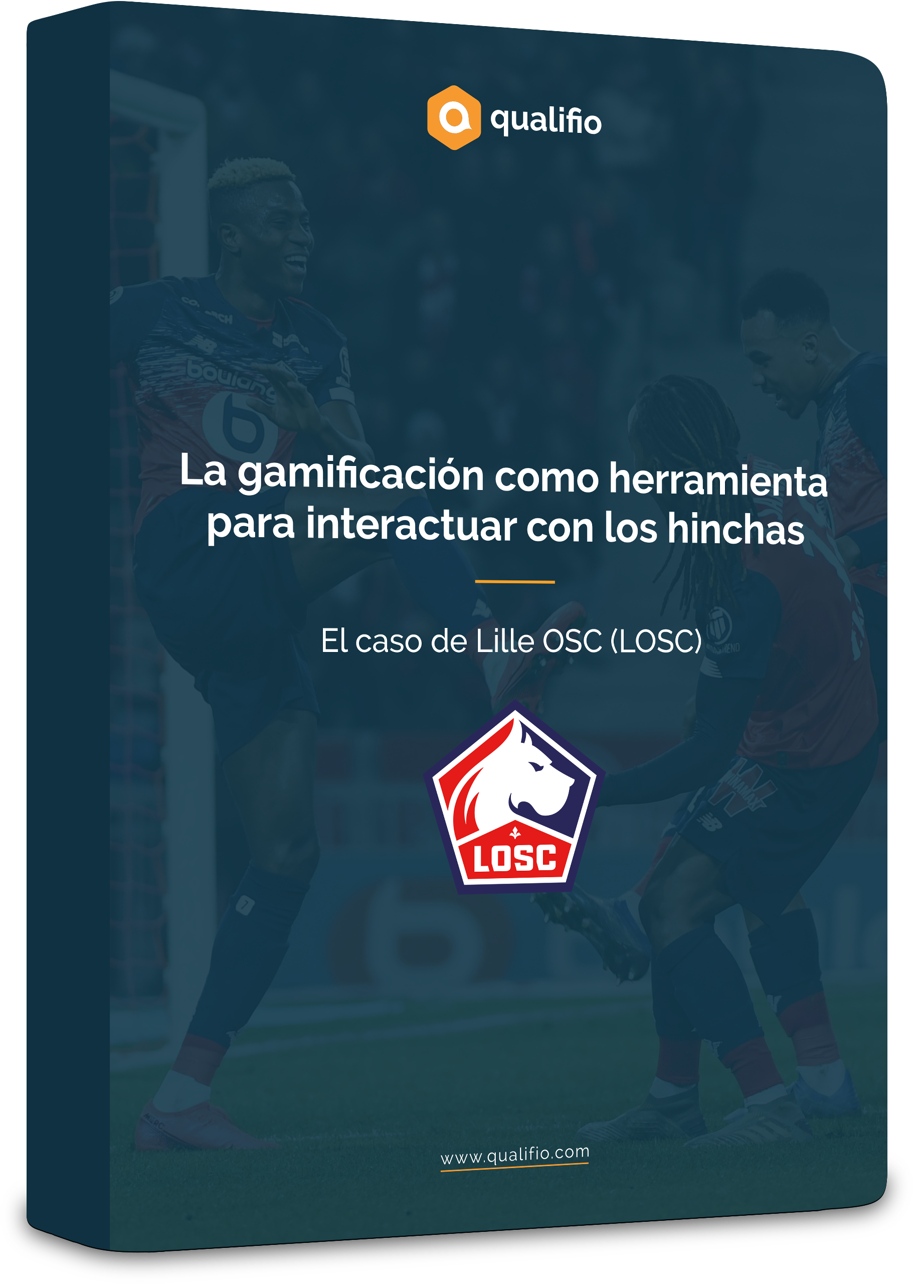 losc_case_ES