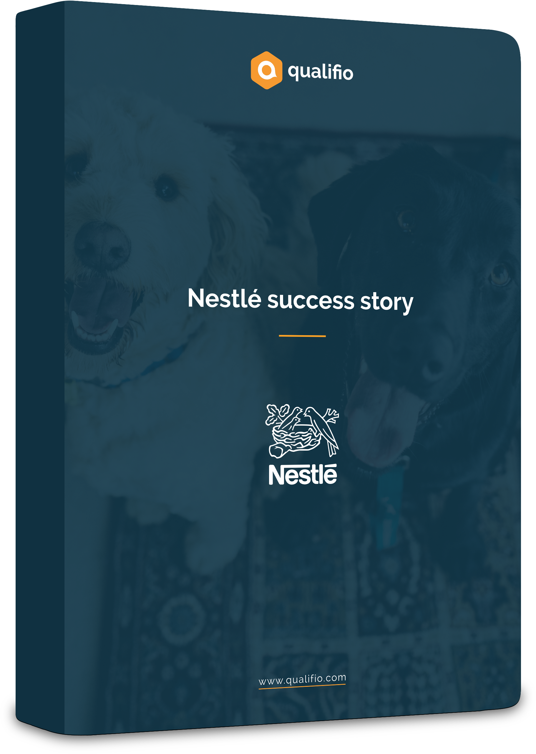 nestle_case_EN